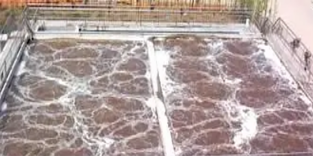 污水氨氮超标的原因？