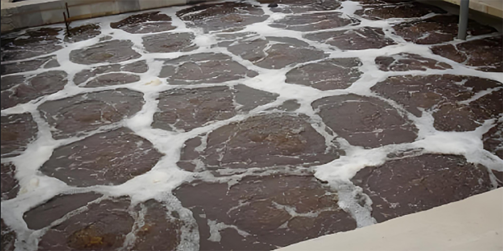 揭秘屠宰场废水处理工艺：环保与争议并存的黑科技？