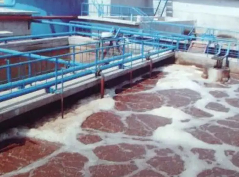 污水处理技术知识点